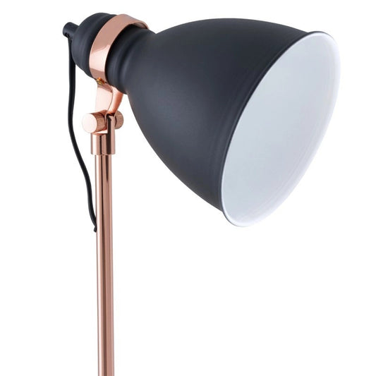 Blasca Floor Lamp